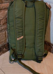 VIP Wander 01 - 19 Ltrs Green Casual Backpack