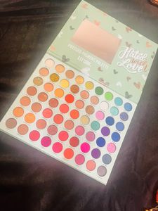 New Eyeshadow Pallet With 63 Colors
