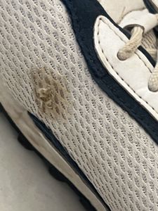 Woodland Sport Sneakers