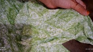 Green Printed Gown Dress &amp; Scarf Set Xl Size