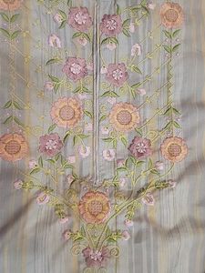 Beautiful 3xl Multi Colour Suit With Organza Dupat