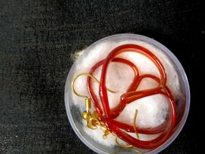 Funky Glass Earring Set