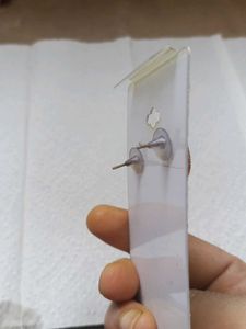Beautiful Earrings