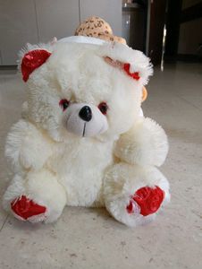 Combo Cute Teddy Bear Collection
