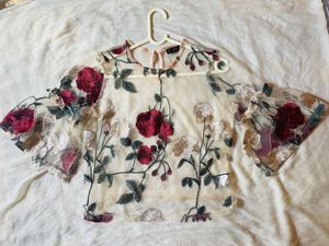 Champagne Coloured Floral Embroidered Sheer Top