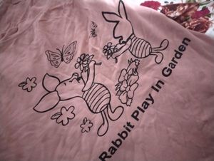 Peach Colour Crop Top