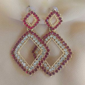 Earrings Red and Elegent