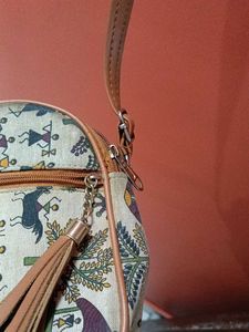 Combo Of 2 Bags