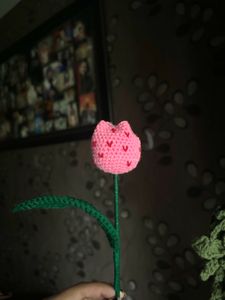 Heart Tulip