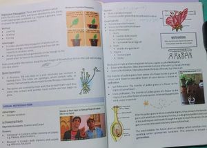 Class X Cheat Sheet Books BKP