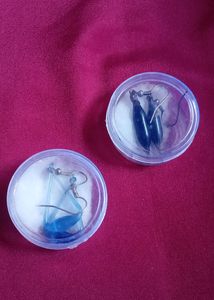 Combo Pinterest Dainty Necklace And Glass Earrings