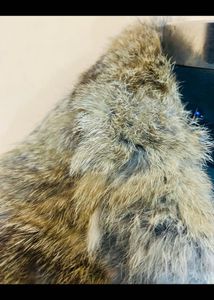 Fur Collar Peacoat