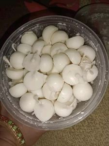 100 Ghee Diya Batti Cotton Wick Puja