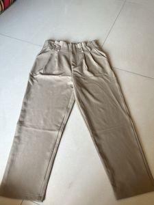Beige  Formal Pant