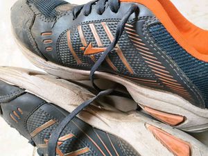 Sport Shoes