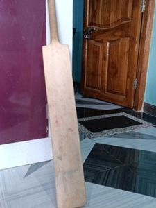 Cricket Bat H.P