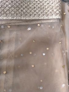 Designer,Heavy ,Long Length Golden Net Dupatta With Golden Stone And Wide Border