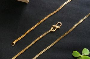 Golden Chain 🥰