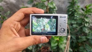 Sony Camera DSC-W320