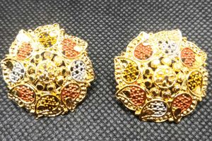 Elegant Tricolor Earrings