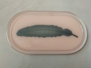 Resin Feather Tray