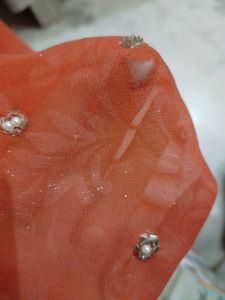 Beautiful  Hand Work Embllished Saree