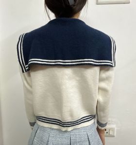 White &amp; Navy Blue Sweater