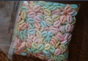 Plastic Cowrie Shells