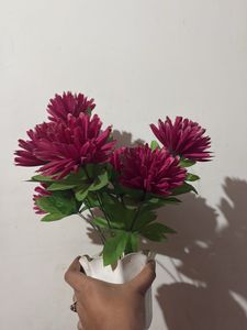 Home decor plant