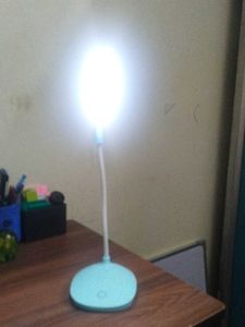 Modern LED Desk Lamp