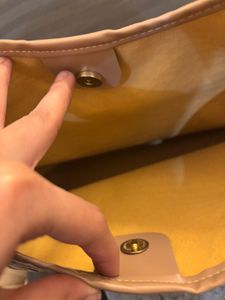Botega Bag Dupe