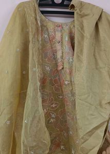 Beautiful Organza Pakistani Suit👗
