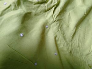 Anouk Green Colour top type Blouse