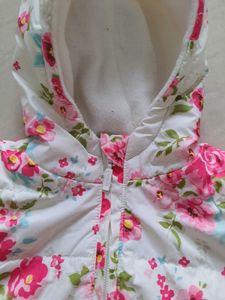 Babyhug Jacket