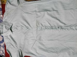LessUsed LightOliveGreen WithWhiteSripes Shirt