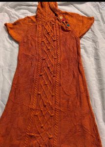 Woollen Bodycone Turtle Neck Dress