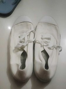 White School Shoes