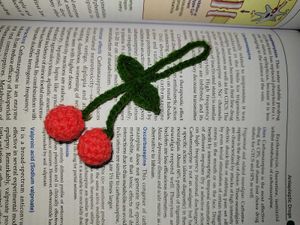 Crochet Cherry 🍒