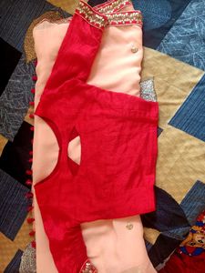 Elegant Peach Saree
