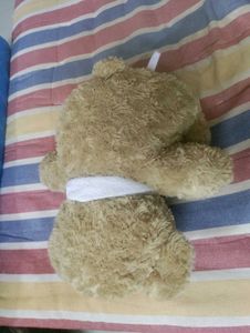 Cute Teddy Bear
