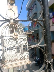 Decorative Bird Cage