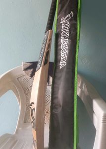Kookaburra Cricket Bat