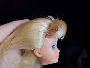 Hawaiian Fun Skipper 1990 Doll