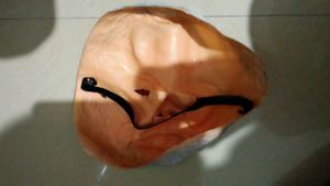 Amazing Politician Mask