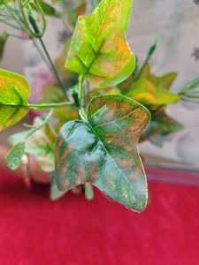 Green Leaf Bunch
