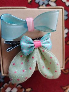 Pair Of Hair clips