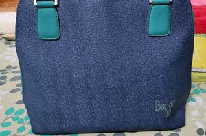 Baggit Handbag