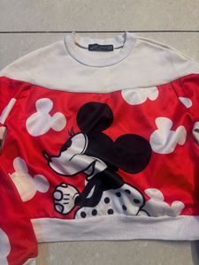 Zara Top