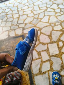 Blue Colour Shoes