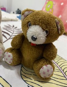 3 Pc Cute Teddies